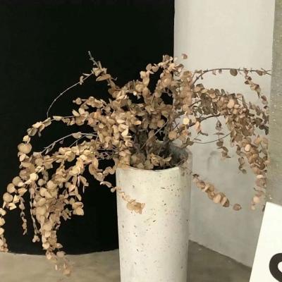 兽设毛发质感表现Furry群